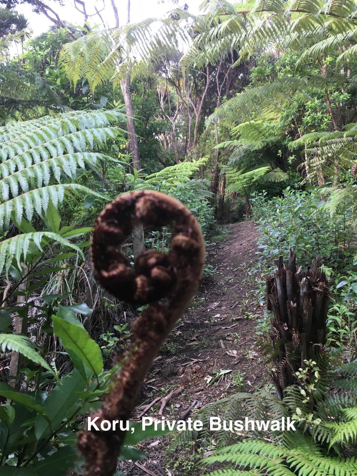 Te Henga Hideaway Vila Bethells Beach Exterior foto